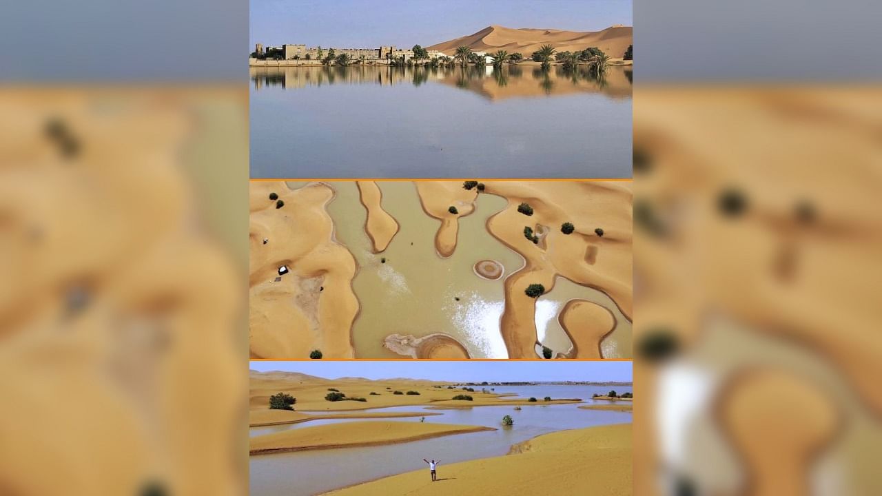 <div class="paragraphs"><p>Visuals of water bodies formed by heavy rainfall in the Sahara Desert.</p></div>