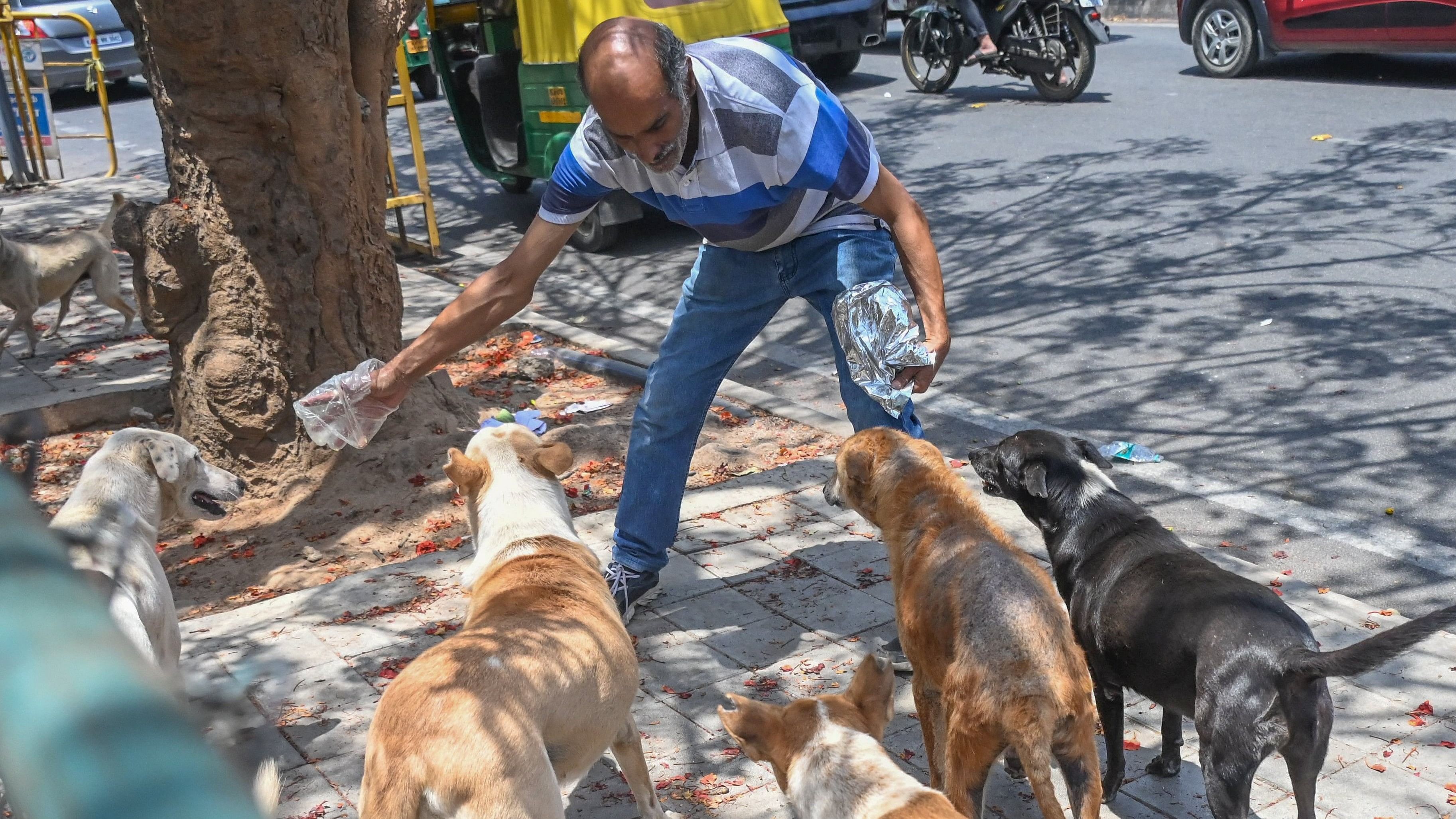 <div class="paragraphs"><p>BBMP will initiate a pilot feeding exercise, training Pourakarmikas in four wards to assist in feeding community dogs by coordinating with local restaurants. </p></div>