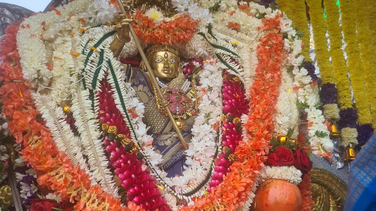 <div class="paragraphs"><p>Idol of Goddess Sri Chamundeshwari Devi which will be housed in the 750 kg golden howdah, carried by Dasara veteran elephant Abhimanyu in Dasara Jamboo Savari Procession.</p></div>