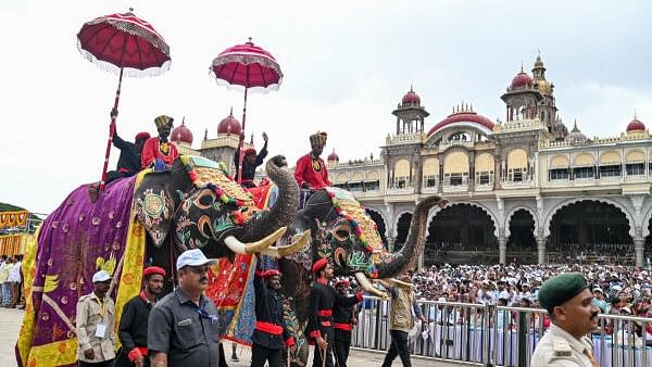 <div class="paragraphs"><p>Saalanes during Dasara Jamboo Savari procession on Saturday. </p></div>