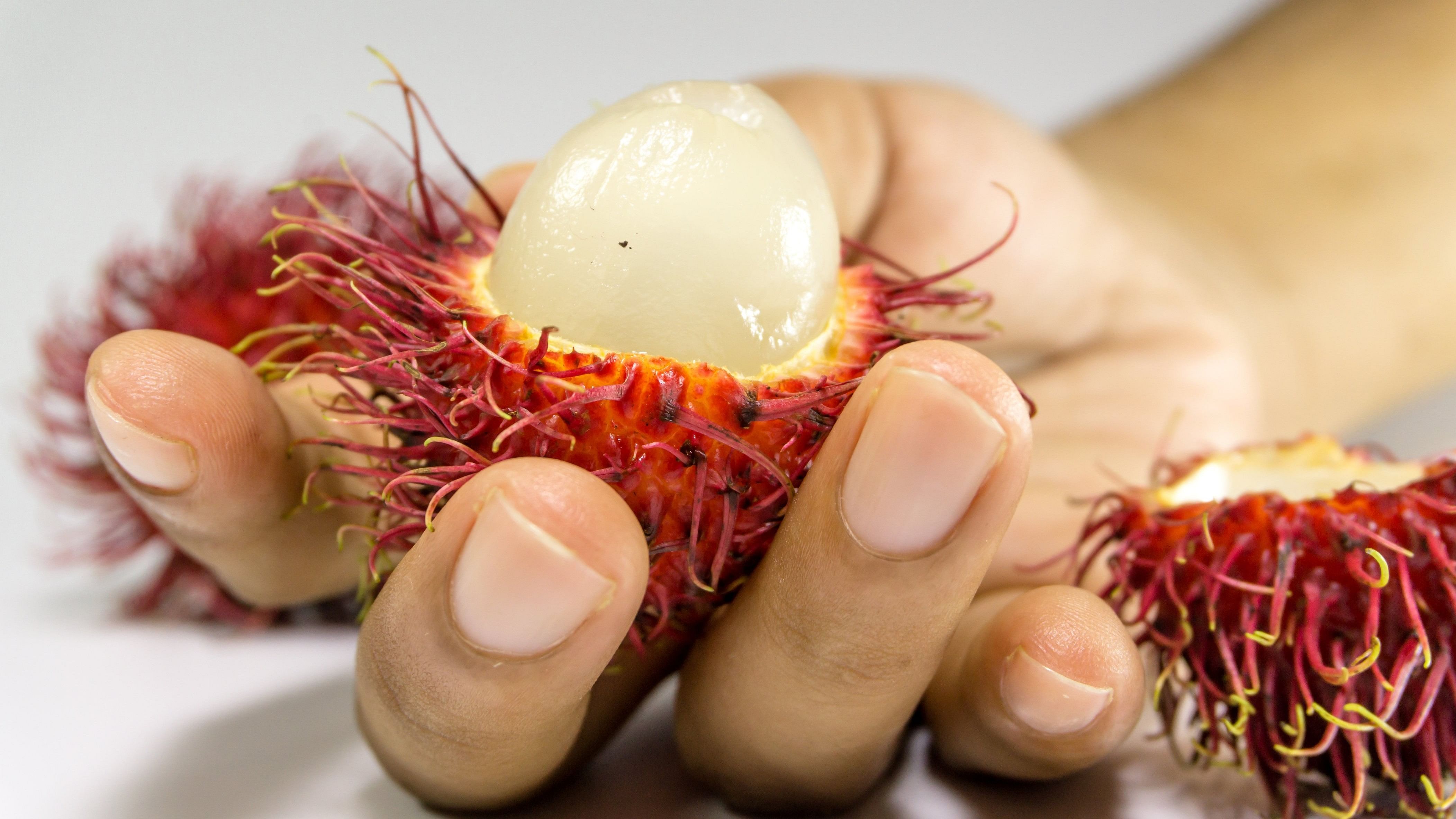 Rambutan