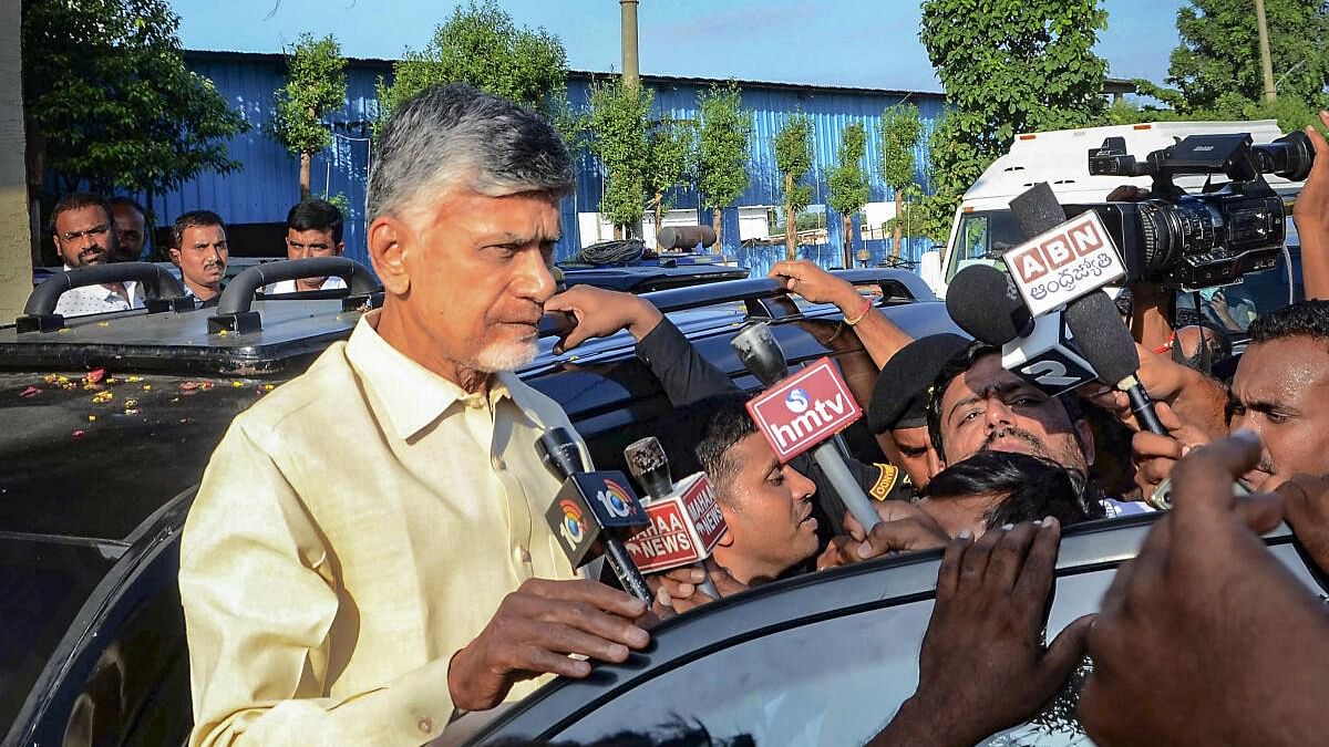 <div class="paragraphs"><p>Andhra Pradesh chief minister N Chandrababu Naidu</p></div>