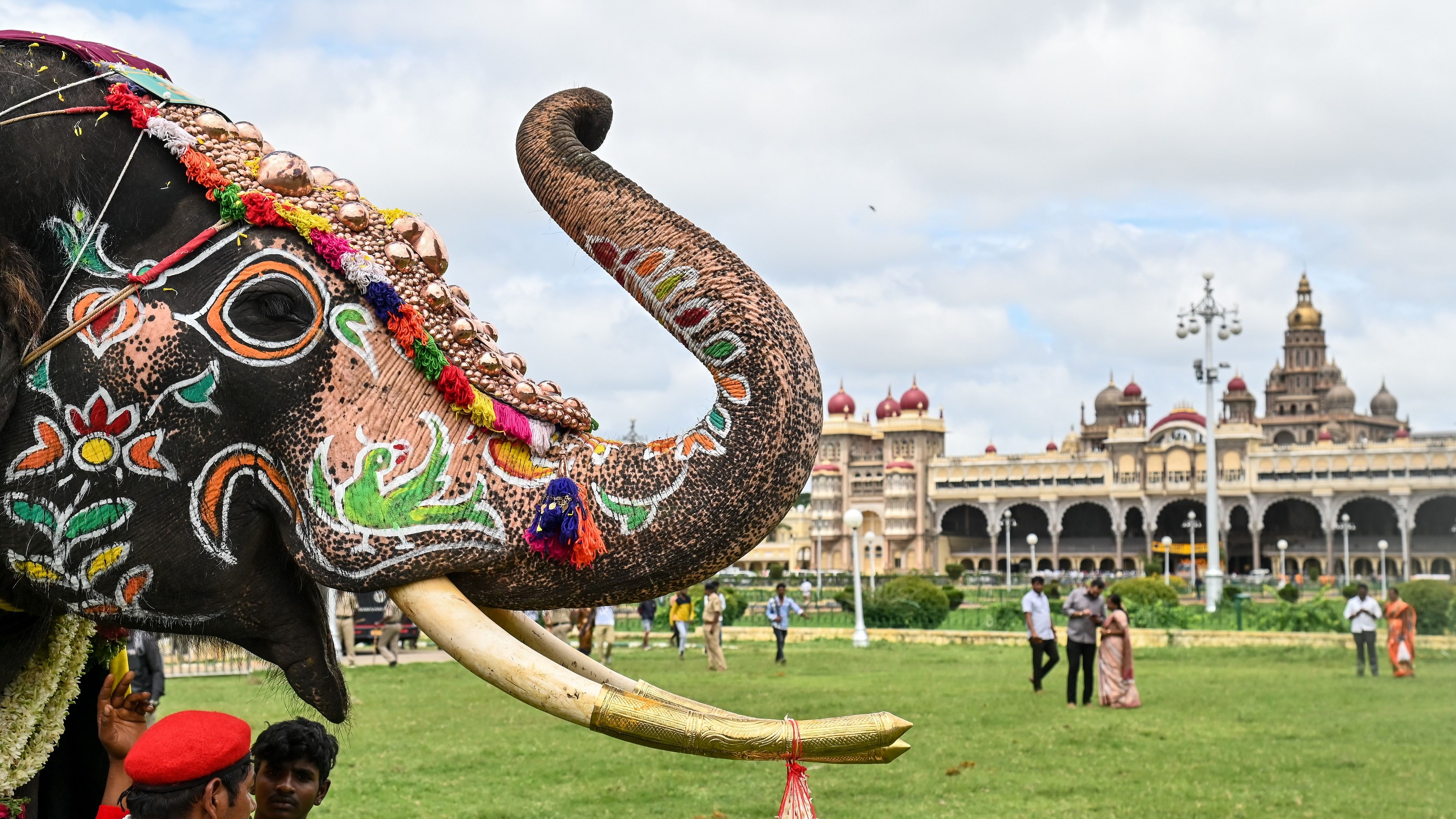 <div class="paragraphs"><p>A still from&nbsp;Mysuru Dasara</p></div>