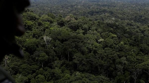 <div class="paragraphs"><p>A policeman observes the Amazon rainforest.&nbsp;</p></div>