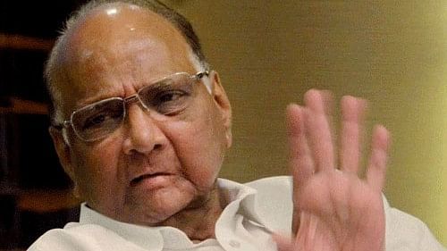 <div class="paragraphs"><p>NCP (SP) chief Sharad Pawar.</p></div>