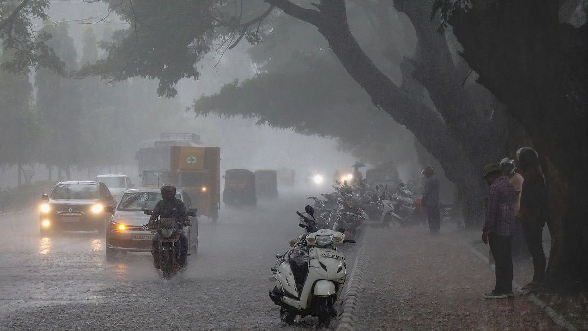 <div class="paragraphs"><p>Representative image showing rainfall.</p></div>