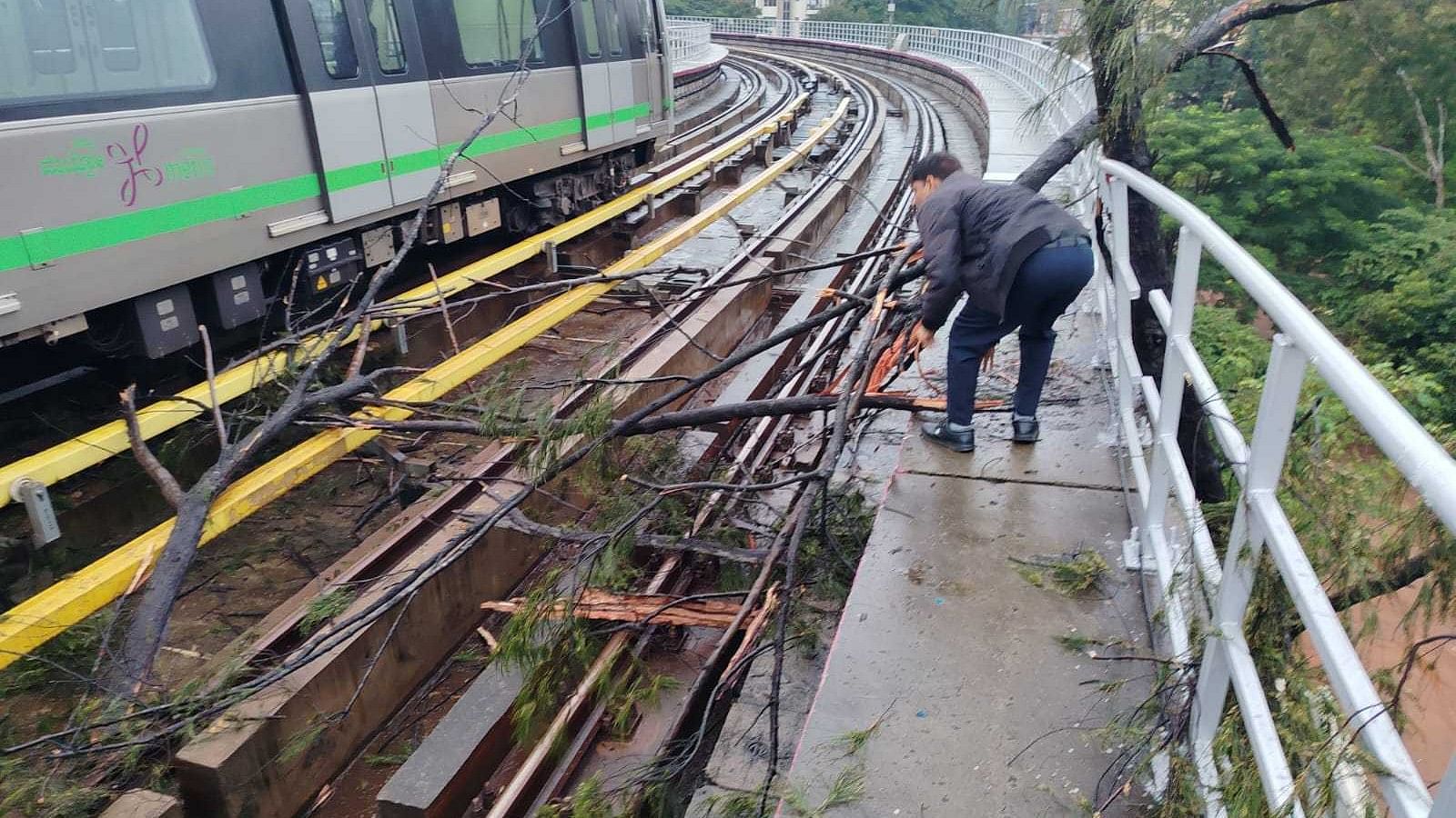 <div class="paragraphs"><p>The fallen tree branch on the metro track between Indiranagar and SV Road on Wednesday morning. </p></div>