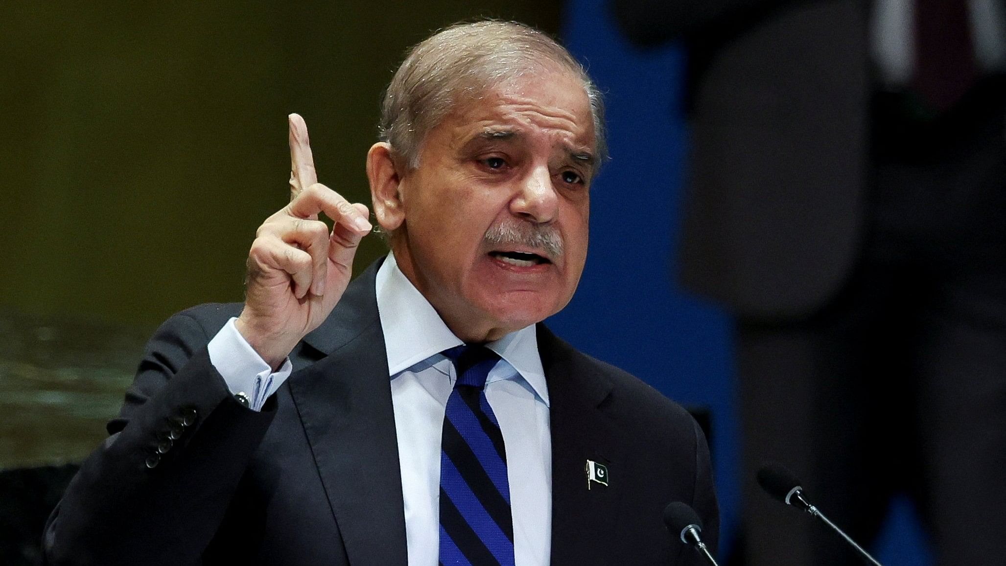 <div class="paragraphs"><p>Pakistan's Prime Minister Shehbaz Sharif.</p></div>