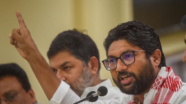 <div class="paragraphs"><p>Congress MLA Jignesh Mevani.</p></div>