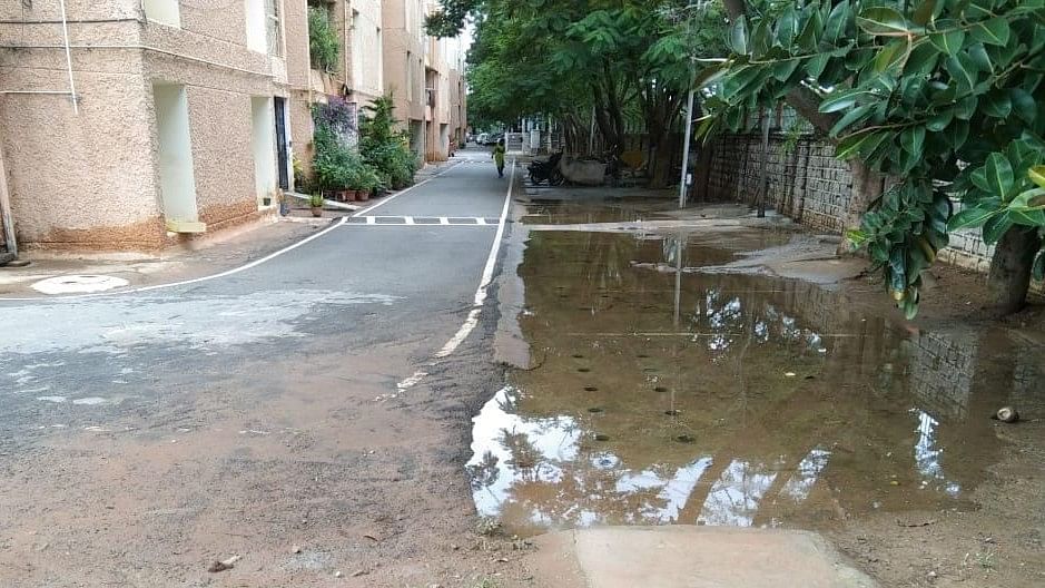 <div class="paragraphs"><p>Water levels recede at Yelahanks's Kendriya Vihar apartment on Thursday. </p></div>