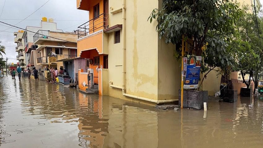 <div class="paragraphs"><p>Image showing waterlogged streets.</p></div>