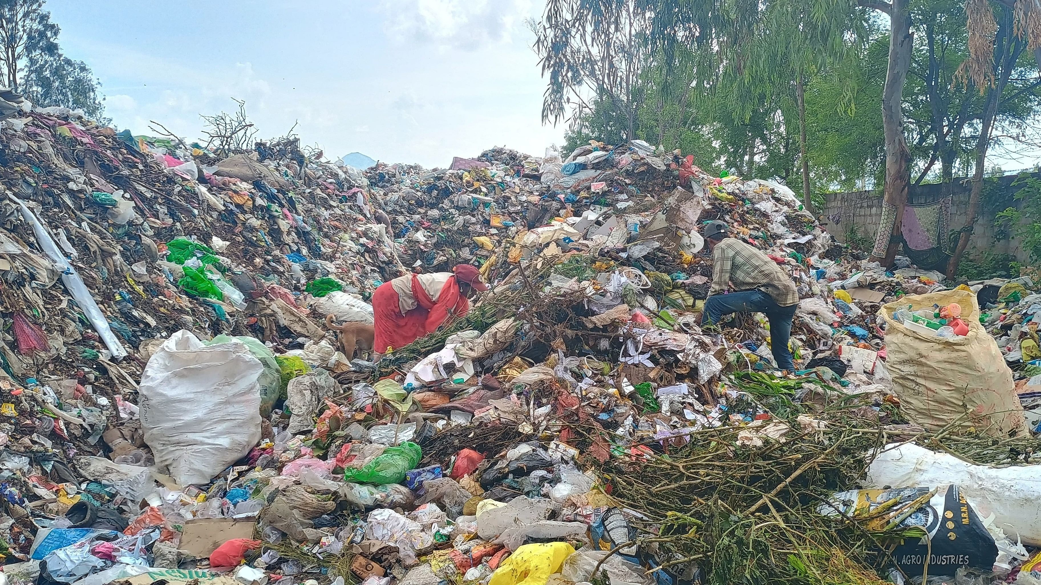 <div class="paragraphs"><p>Workers sort waste at the landfill in Doddaballapur.&nbsp;</p></div>