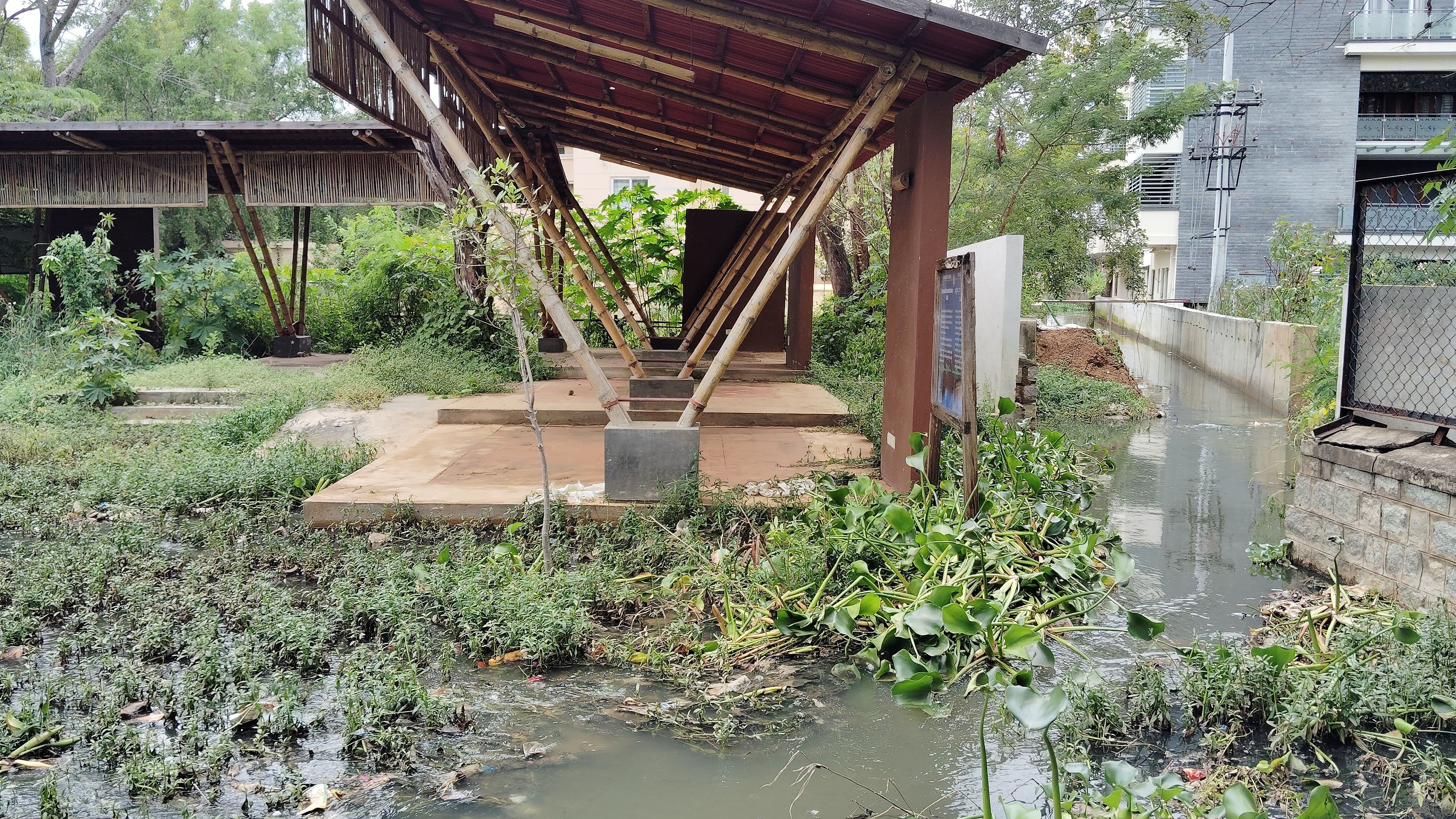 <div class="paragraphs"><p>Sewage flows into the Yelahanka Puttenahalli Lake Bird Conservation Reserve on Friday. </p></div>