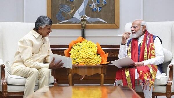 <div class="paragraphs"><p>Andhra Pradesh Chief Minister N. Chandrababu Naidu during a meeting with Prime Minister Narendra Modi.</p></div>