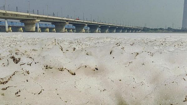 <div class="paragraphs"><p>Toxic foam floats on the surface of the polluted Yamuna river, at Kalindi Kunj, in New Delhi.</p></div>