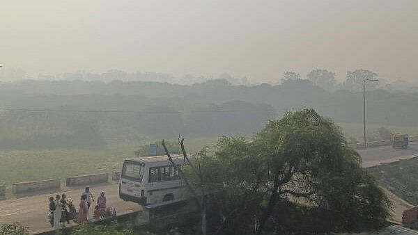 <div class="paragraphs"><p>Smog engulfs the Yamuna biodiversity park near Burari, in New Delhi, Thursday, Oct. 17, 2024. </p></div>