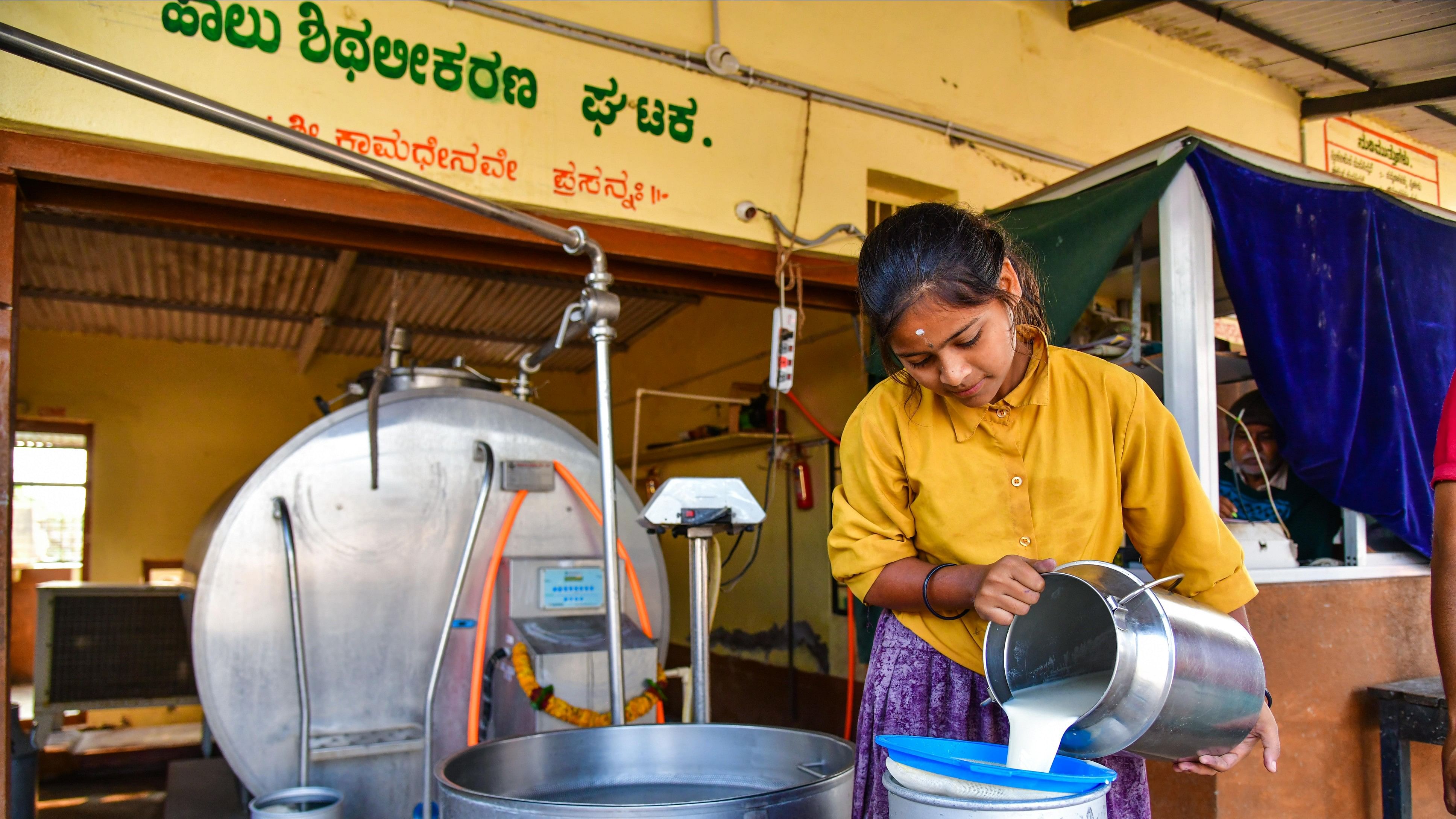 <div class="paragraphs"><p>Women form more than 50% of active dairy farmers in the state. A farmer deposits milk at a collection centre at Kolur, Koppal. </p></div>