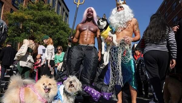 <div class="paragraphs"><p>A group dressed as characters from Little Mermaid are seen during the Halloween Dog Parade in New York City.&nbsp;</p></div>