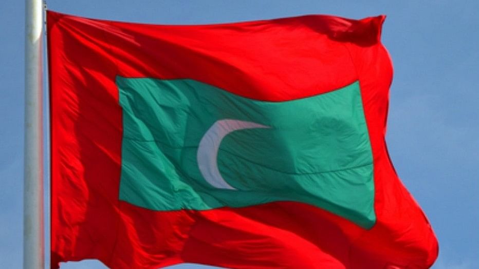 <div class="paragraphs"><p>Flag of Maldives.</p></div>