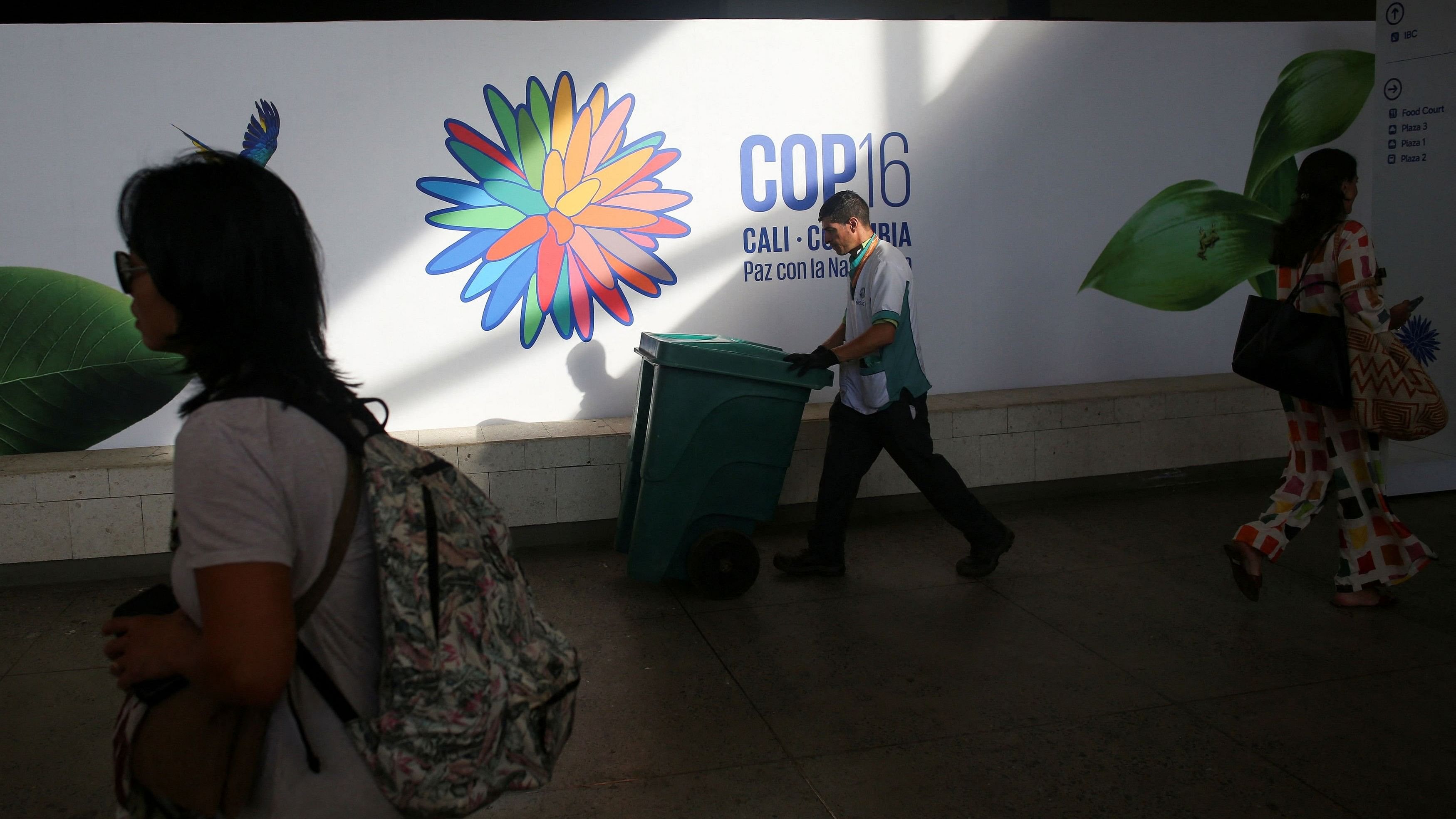 <div class="paragraphs"><p>People walk through the Valle del Pacifico event center, ahead of the 16th United Nations Biodiversity Summit.</p></div>