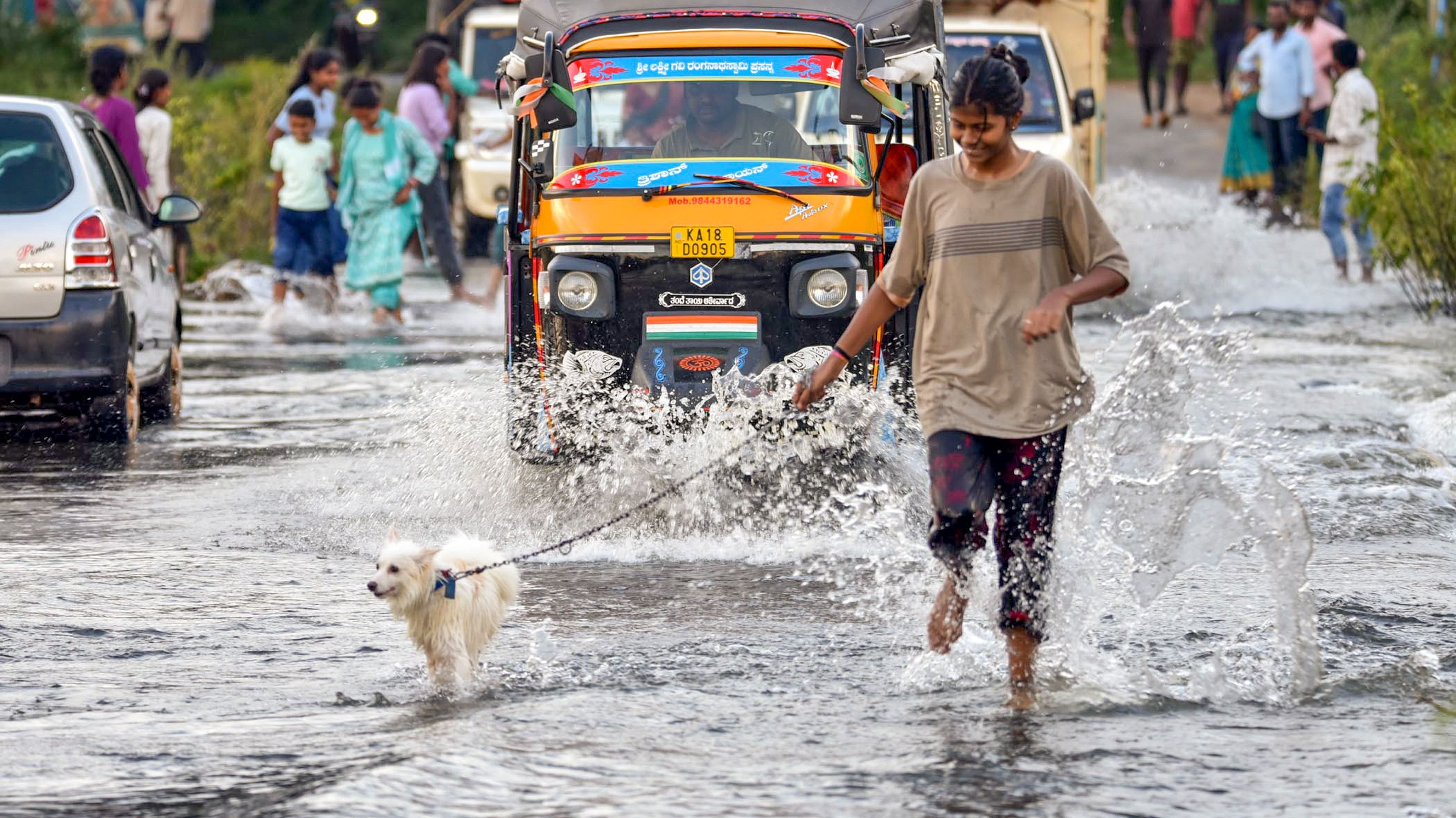 <div class="paragraphs"><p>A young woman walks with her pet dog on a waterlogged road after heavy rain, at Belavadi near Chikkamagaluru.</p></div>