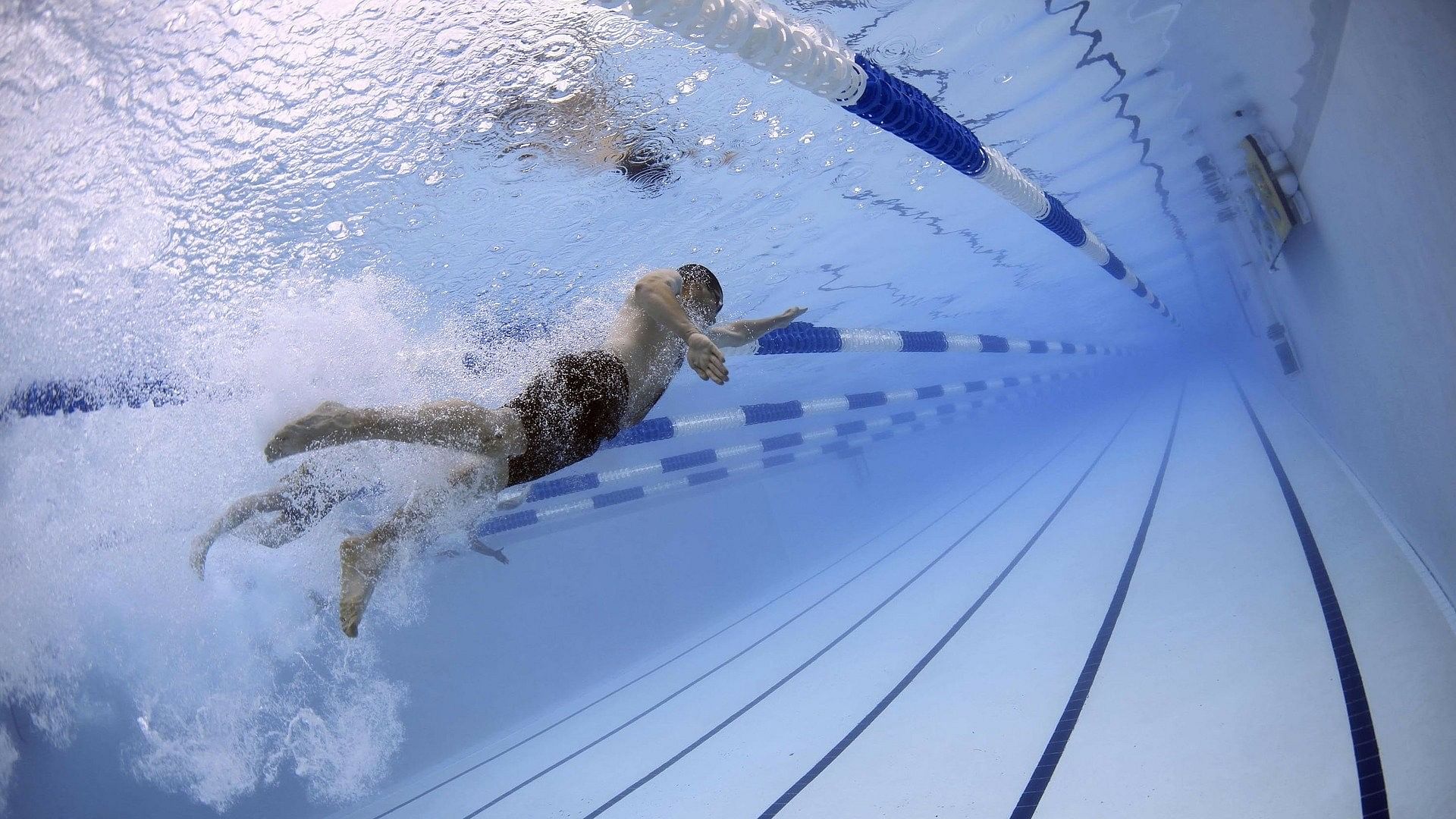 <div class="paragraphs"><p>Representative image of swimming as a sport</p></div>