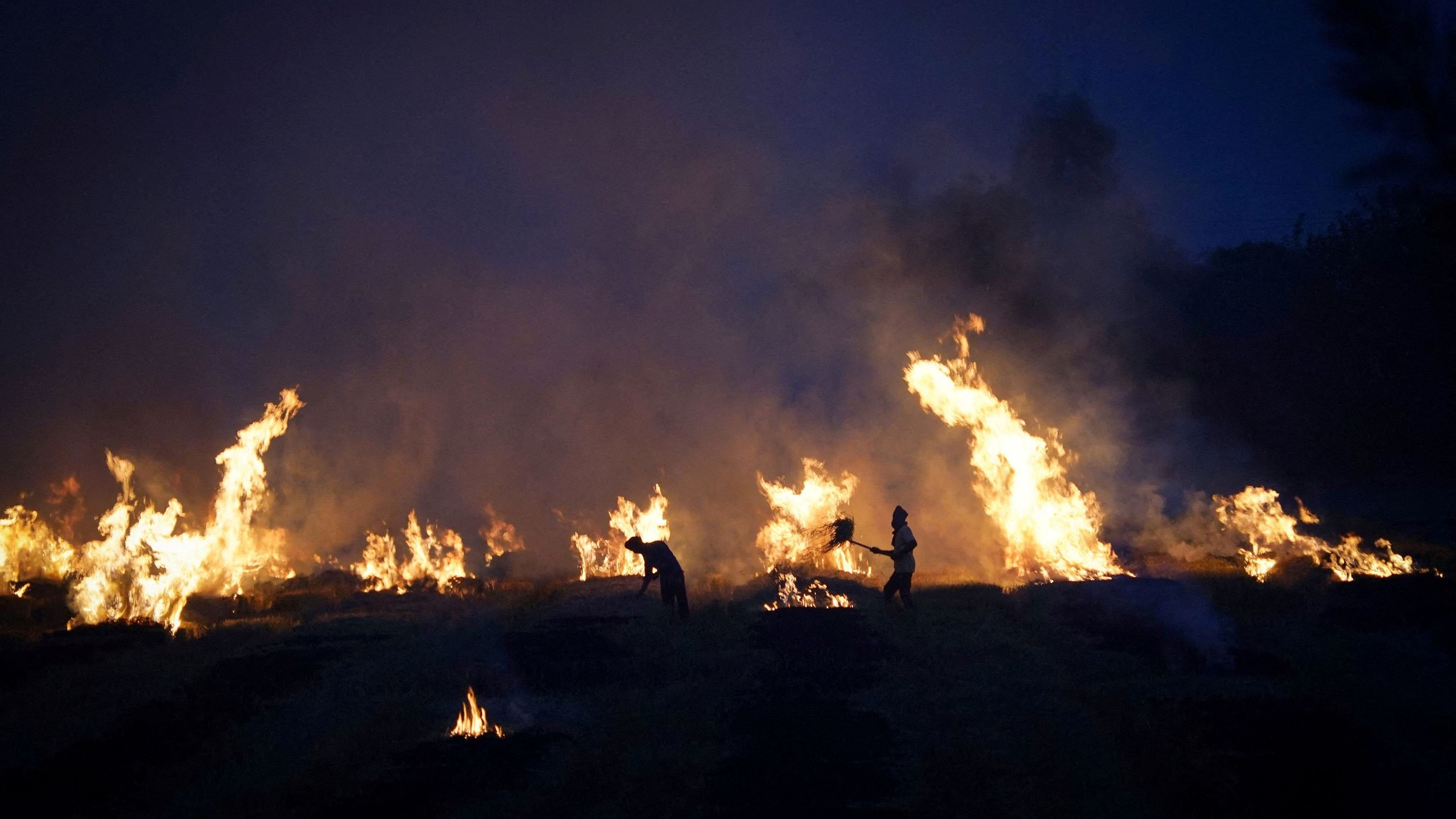 <div class="paragraphs"><p>Farmers burn stubble in a rice field at a village in Karnal in the northern state of Haryana.</p></div>