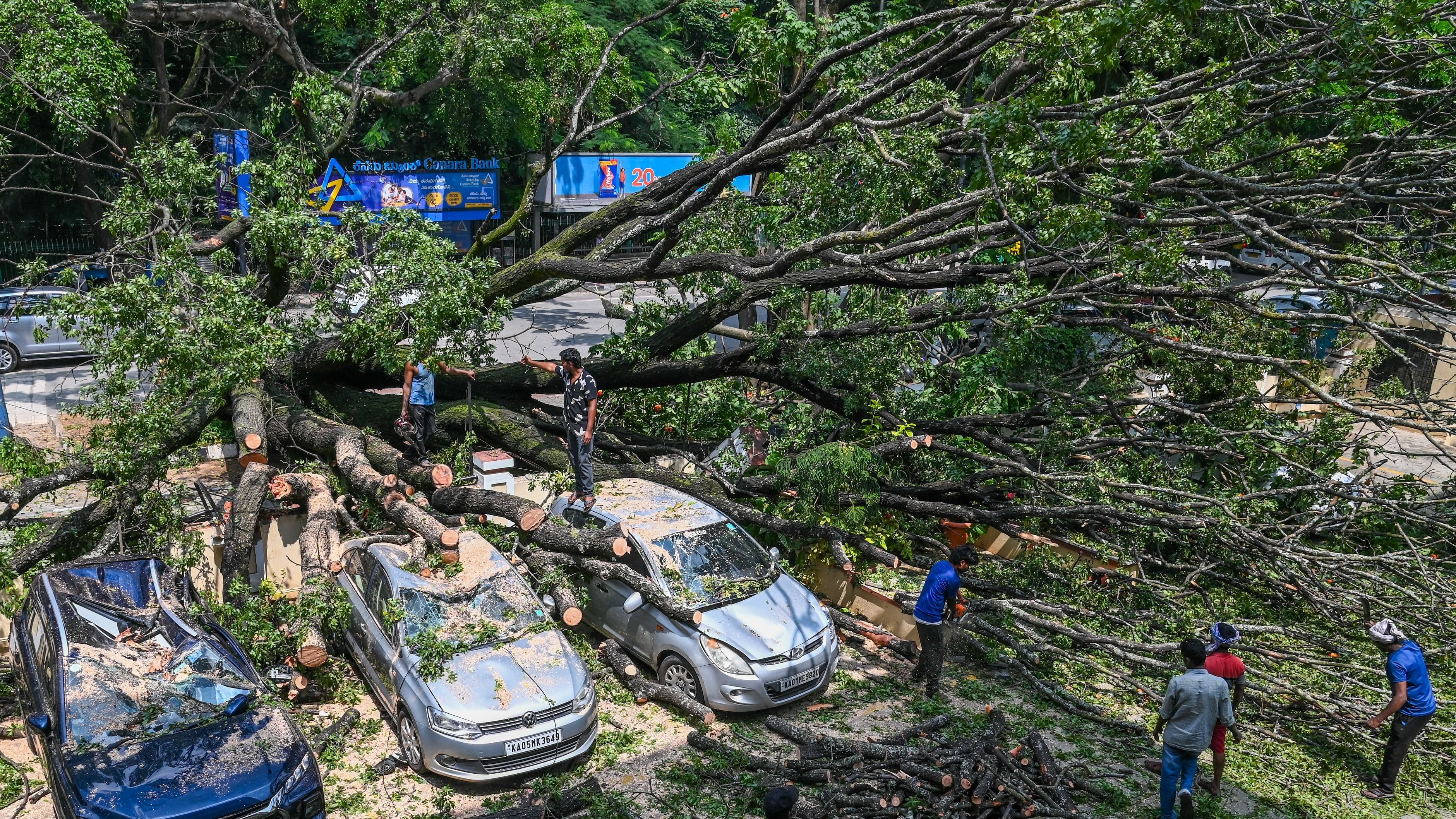 <div class="paragraphs"><p>Trees fall on cars at MN Krishna Rao Park opposite an apartment in Basavanagudi.&nbsp;</p></div>