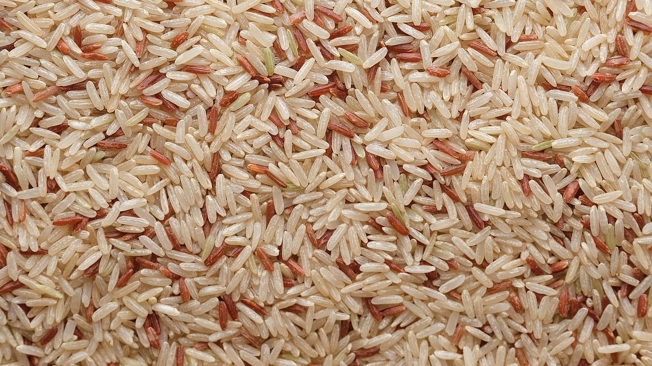 <div class="paragraphs"><p>Export duty has been reduced from 10% to 'nil' on parboiled rice, husked (brown) rice and rice in the husk (paddy or rough), said a late night notification issued by the finance ministry on Tuesday.</p></div>