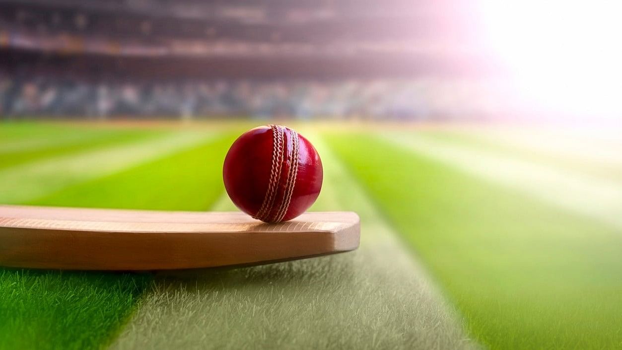 <div class="paragraphs"><p>Representative image of cricket bat and ball</p></div>