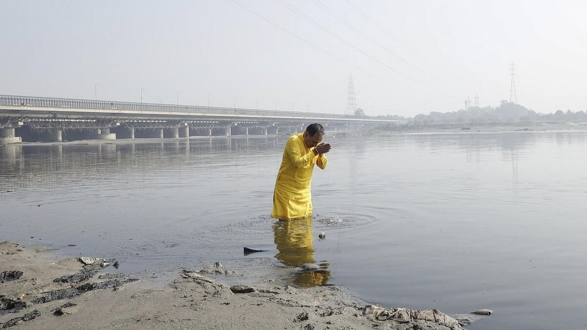 <div class="paragraphs"><p>Delhi BJP President Virendra Sachdeva takes a dip in the Yamuna river near ITO amid smog, in New Delhi.</p></div>