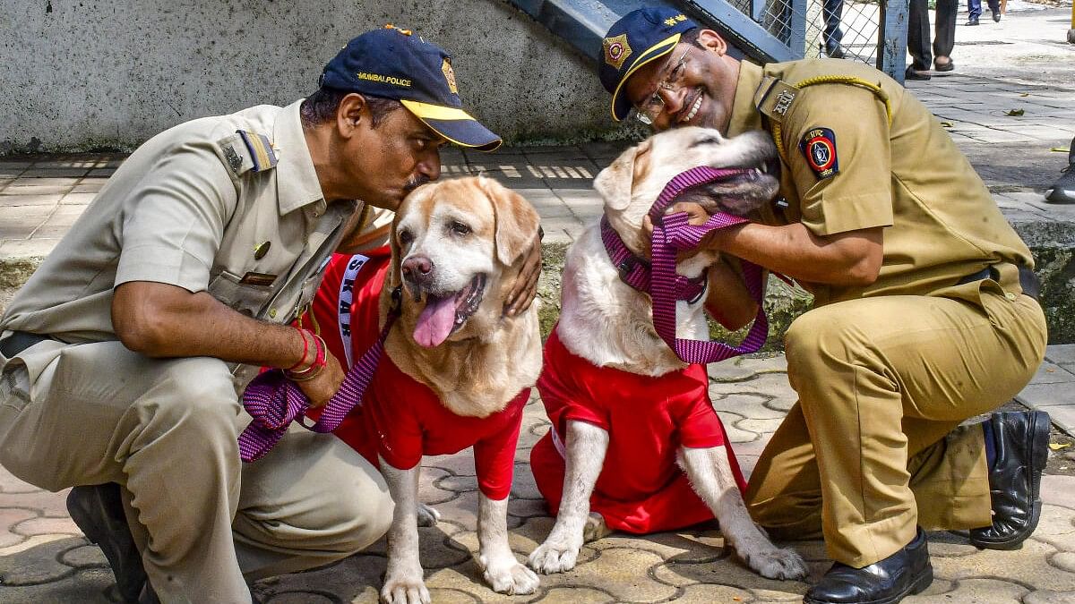 <div class="paragraphs"><p>Oscar (left) and Mylo, two dogs from the Bomb Detection and Disposal Squad (BDDS) with their respective handlers police havaldars Pravin Kadam (L) and Jeevan Kamble after the dogs retired from service, in Mumbai, Wednesday, Oct 23, 2024. Oscar played a key role in finding 20 gelatin sticks in a vehicle parked outside Mukesh Ambani's Antilia residence in 2021.</p></div>