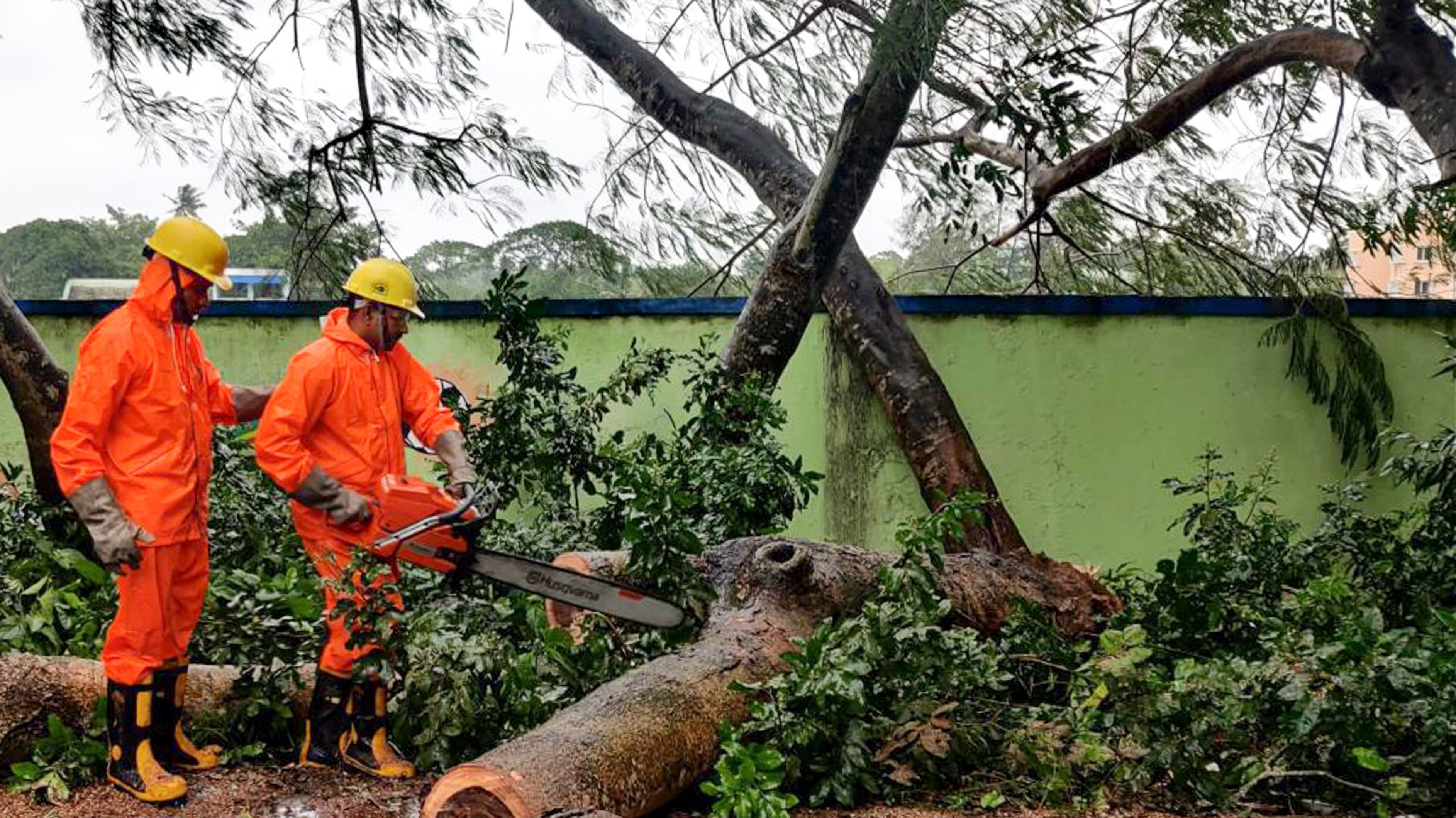 <div class="paragraphs"><p>NDRF personnel cut an uprooted tree at Paradeep in the aftermath of Cyclone Dana, in Bhadrak district, Odisha.</p></div>