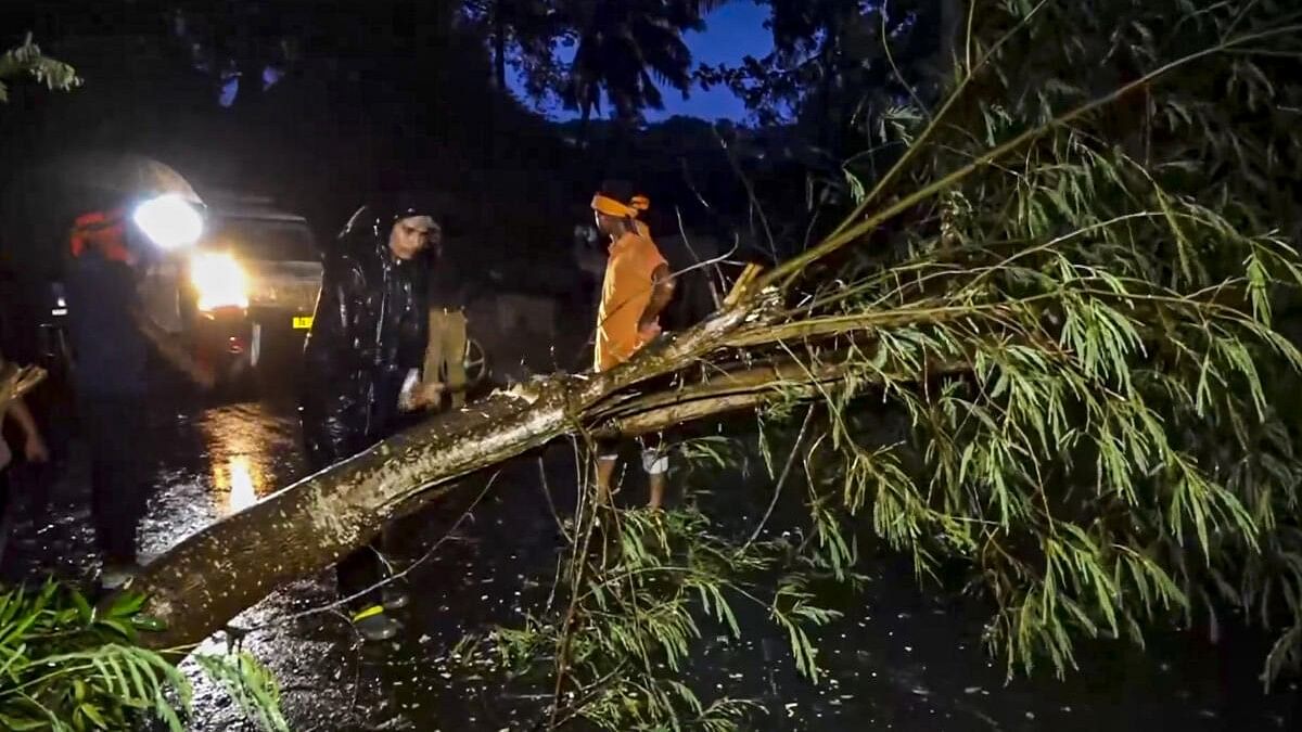 <div class="paragraphs"><p>An uprooted tree being removed as cyclone 'Dana' approaches towards Odisha coast, in Kendrapara.</p></div>