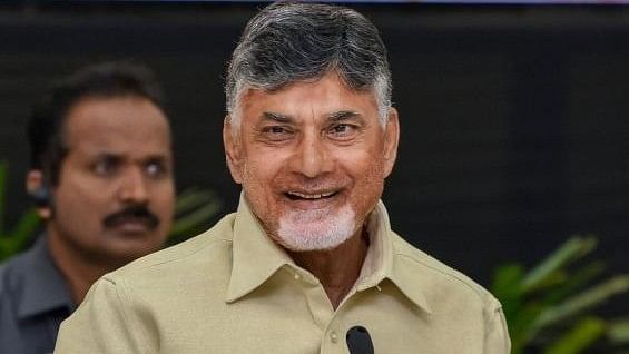 <div class="paragraphs"><p>Andhra Pradesh Chief Minister N Chandrababu Naidu.</p></div>