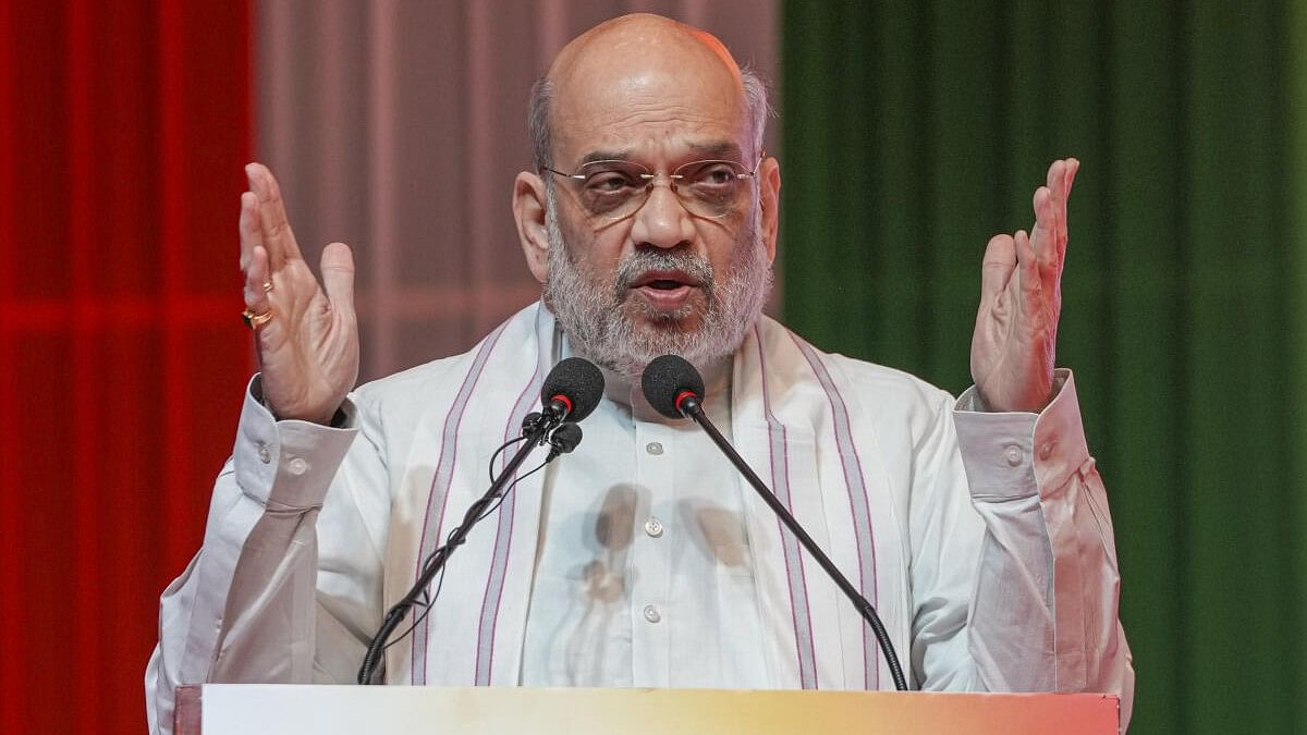 <div class="paragraphs"><p>Union Home Minister Amit Shah.</p></div>