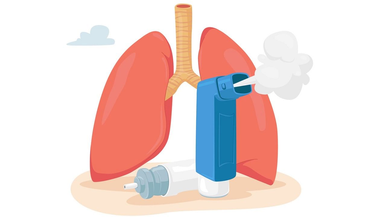 <div class="paragraphs"><p>Representative image of asthma.</p></div>