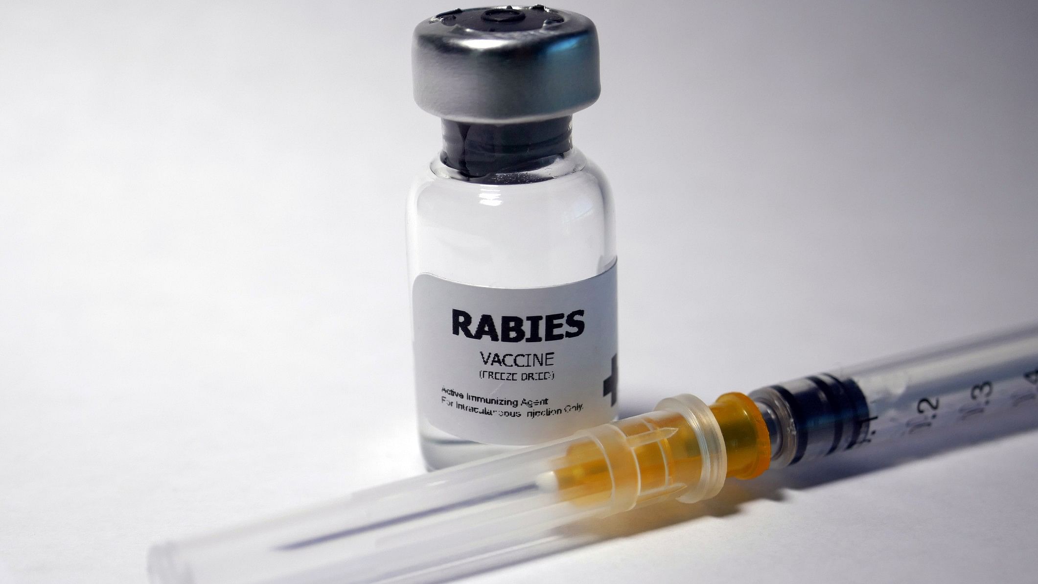 <div class="paragraphs"><p>Representative image showing a rabies vaccine</p></div>