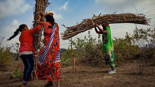 <div class="paragraphs"><p>The Karnataka government introduced the Bhagyalakshmi scheme to ensure compulsory registration of girl children’s birth, improve their status within families and society, promote their education, and combat social evils like child labour and child marriage, while also reducing female foeticide.</p></div>