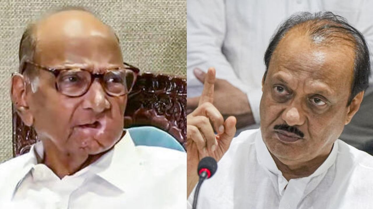 <div class="paragraphs"><p>Sharad and Ajit Pawar</p></div>