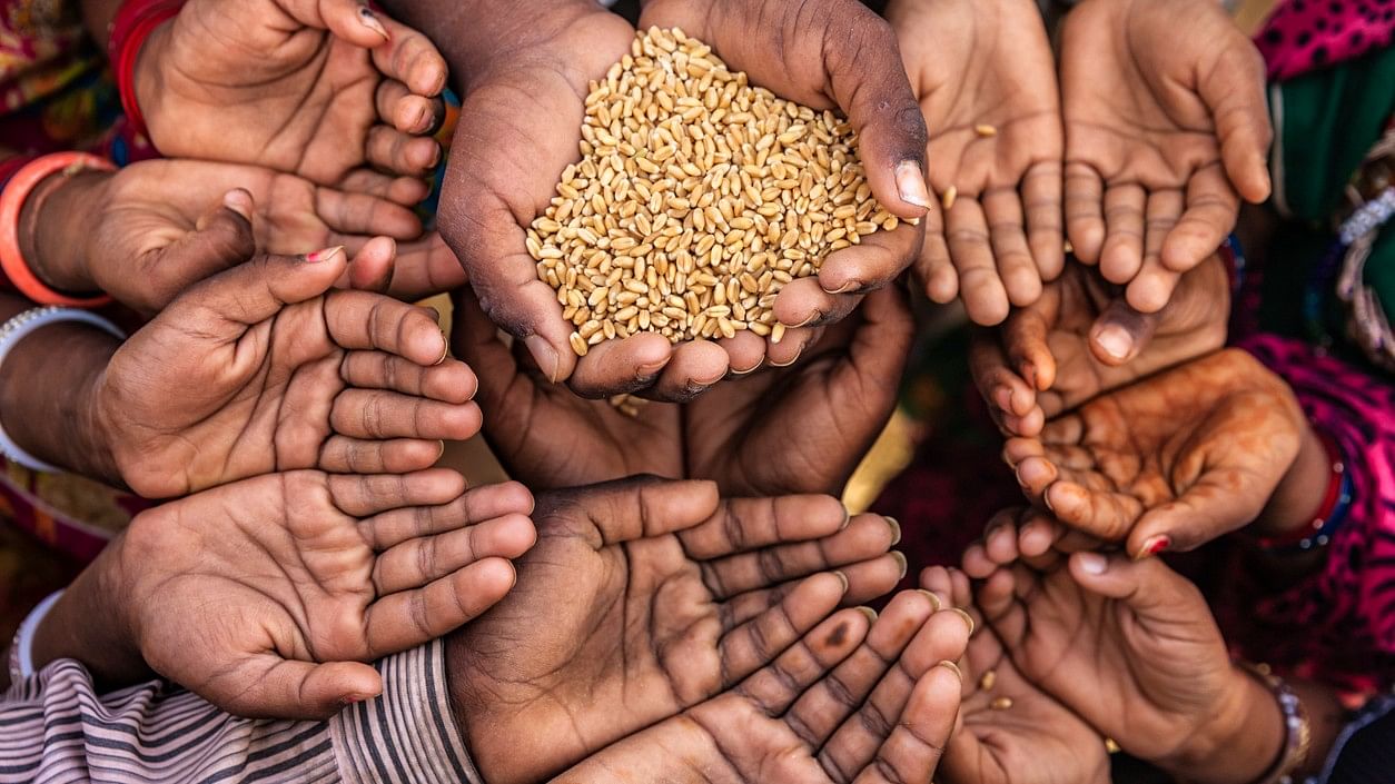 <div class="paragraphs"><p>Image showing children's hands and foodgrains. For representational purposes.</p></div>