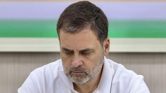 <div class="paragraphs"><p>Leader of Opposition in Lok Sabha Rahul Gandhi.</p></div>