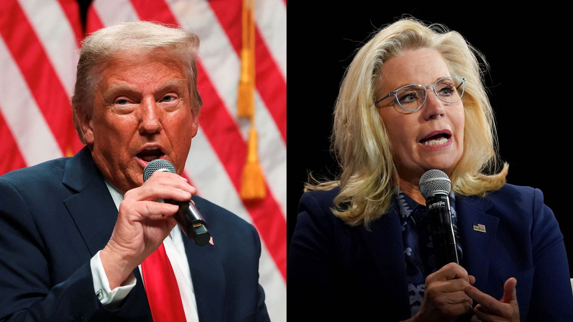 <div class="paragraphs"><p>Former US President Donald Trump (L) and former US lawmaker Liz Cheney (R).</p></div>