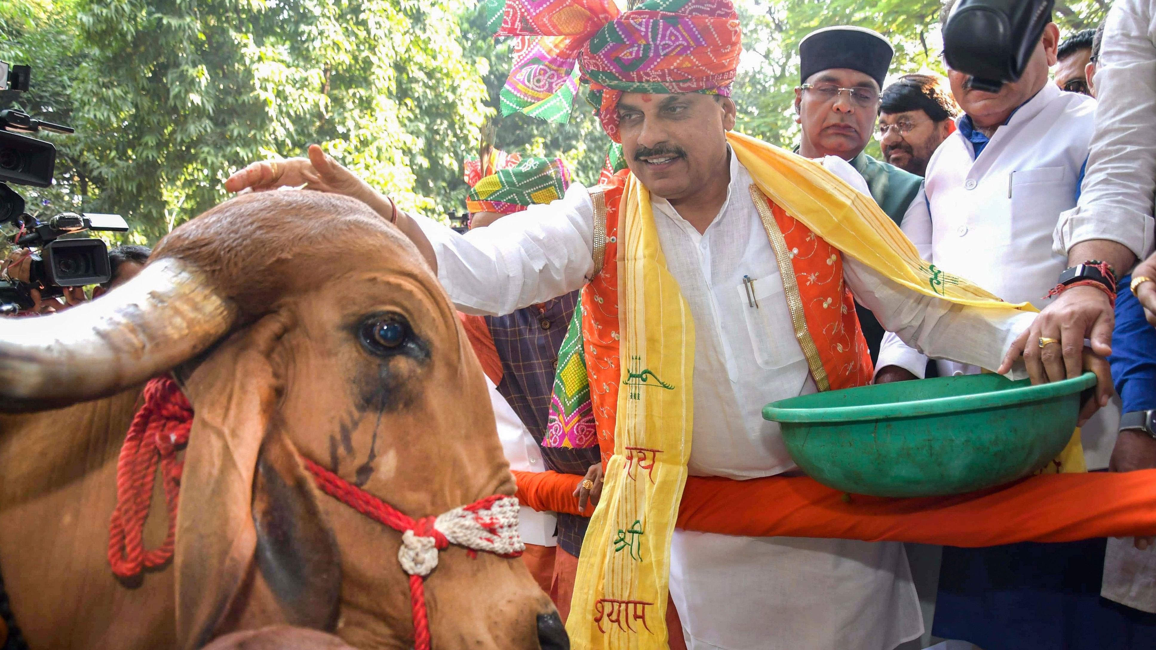 <div class="paragraphs"><p>Madhya Pradesh Chief Minister Mohan Yadav worships a cow during a programme organised on the occasion of 'Govardhan Puja', in Bhopal, on October 2, 2024. </p></div>