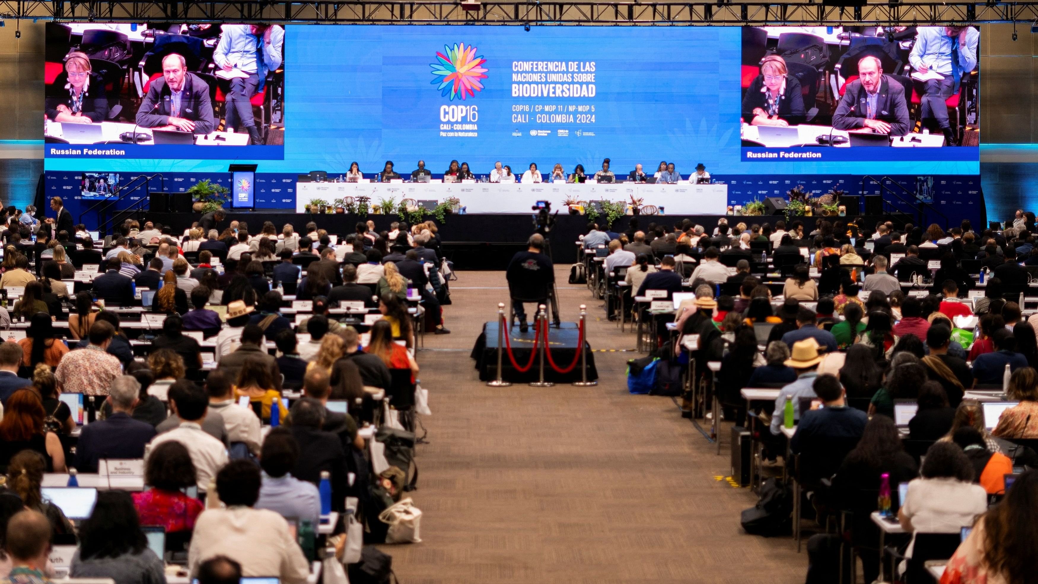 <div class="paragraphs"><p>A view of the closing session at the United Nations COP16 nature summit in Cali, Colombia, November 1, 2024. </p></div>