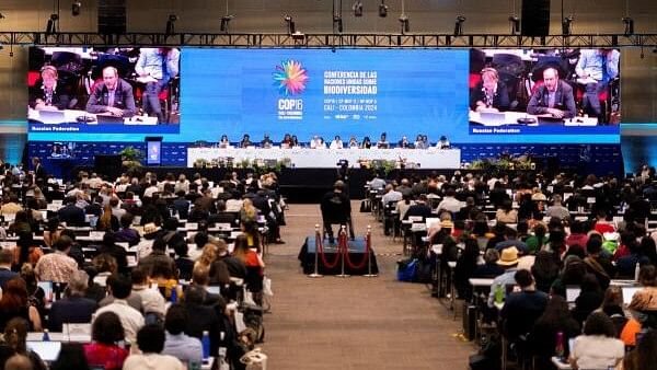 <div class="paragraphs"><p>A view of the closing session at the United Nations COP16 nature summit in Cali, Colombia.</p></div>