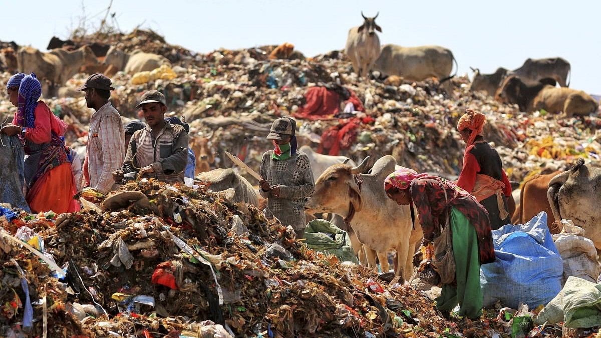 <div class="paragraphs"><p>Ragpickers collecting usable items from a heap of garbage. Image for representation.</p></div>