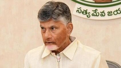 <div class="paragraphs"><p>Andhra Pradesh Chief Minister N Chandrababu Naidu.</p></div>