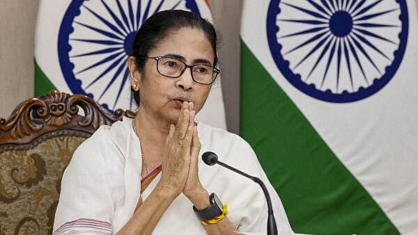 <div class="paragraphs"><p>West Bengal CM and TMC supremo Mamata Banerjee.</p></div>