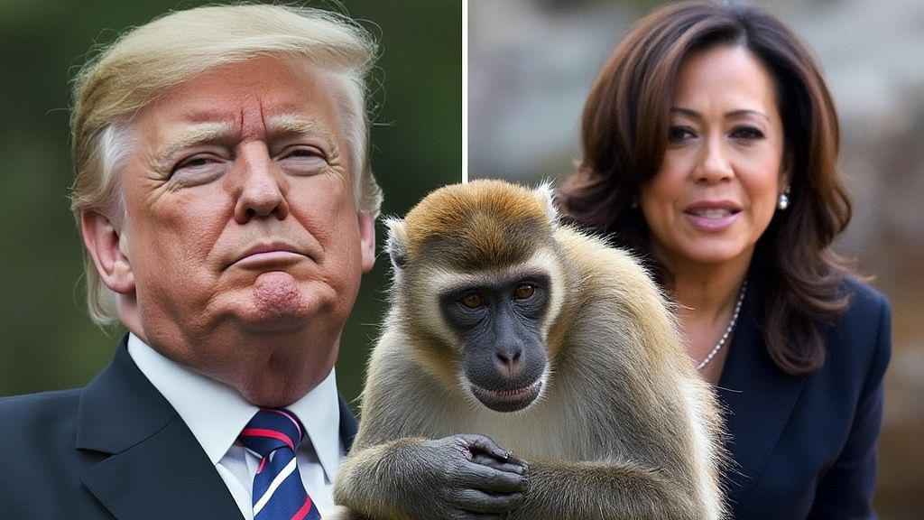 <div class="paragraphs"><p>An AI-generated image showing a collage with Donald Trump and Kamala Harris, with a monkey in the foreground</p></div>